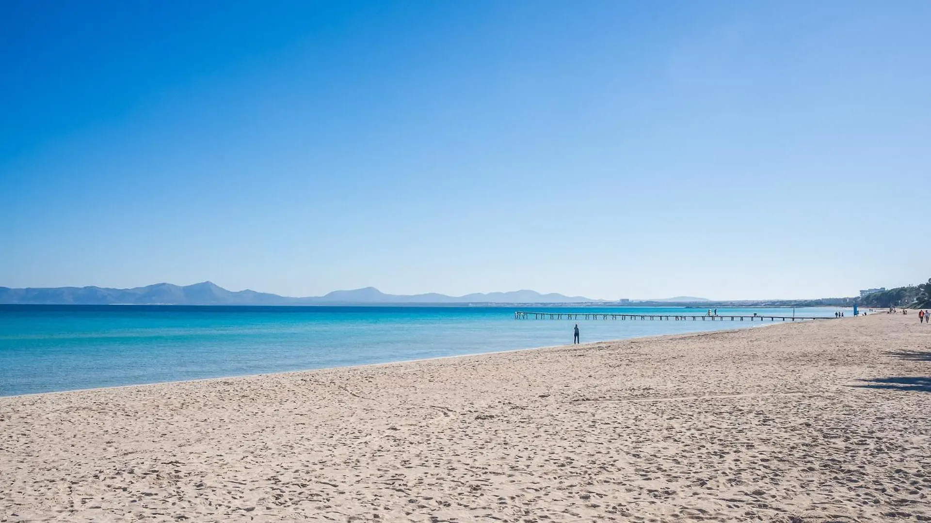 פורט ד'אלקודיה Ideal Property Mallorca - Concha 0*, פורט ד'אלקודיה ספרד