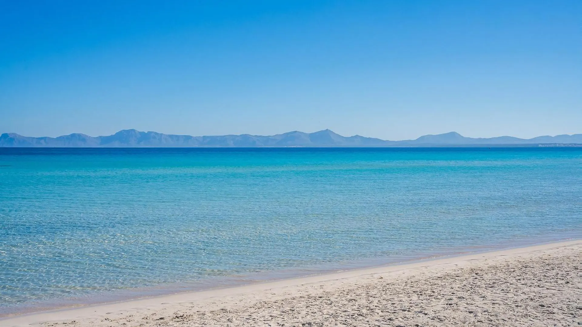 פורט ד'אלקודיה Ideal Property Mallorca - Concha